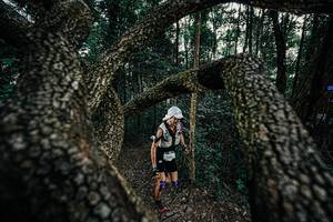 BIB: 
                            <button type="button" onclick="openModal(25389669)" class="btn btn-primary btn-sm float-right btn-popup" data-toggle="modal" data-target=".modal-high-quality">
                        <i class="fas fa-shopping-cart"></i> Add to Cart
                    </button>
                                            <button type="button" onclick="isThisMe(25389669, true)" class="btn btn-success btn-sm float-right btn-popup btn-isme hidden" data-toggle="tooltip" data-placement="bottom" title="นี่คือรูปของคุณใช่ไหม คลิกที่นี่เพื่อเอาเข้าอัลบั้ม">
                        <i class="fas fa-plus"></i> Add to album
                    </button>
                    <button type="button" onclick="isThisMe(25389669, false)" class="btn btn-warning btn-sm float-right btn-popup btn-isnotme hidden">
                        <i class="fas fa-ban"></i> Remove from album
                    </button>